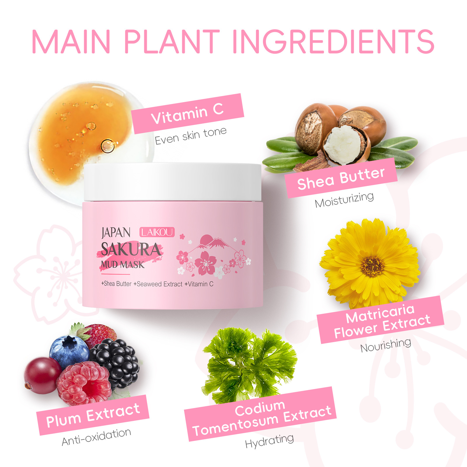LAIKOU Sakura Clay Mask 25g 90 - đánh giá và giá Dust Mask Construction