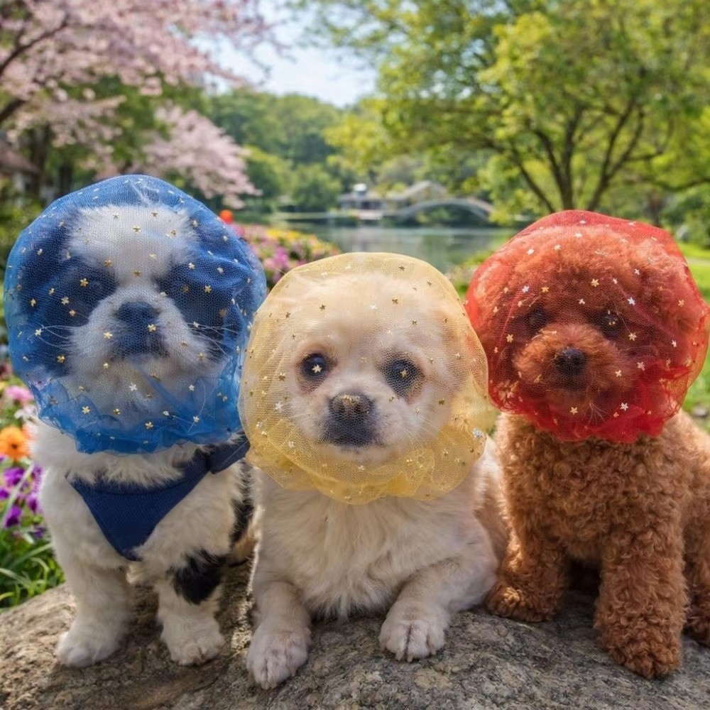 Breathable Dog Anti-Eating Vei - đánh giá và giá Mask Lanyard Adjustable