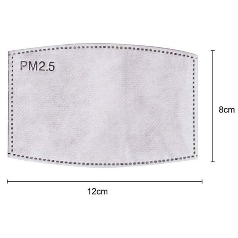 2PCS Mask Filter Element PM2.5 - đánh giá và giá Pm2.5 Filter Insert